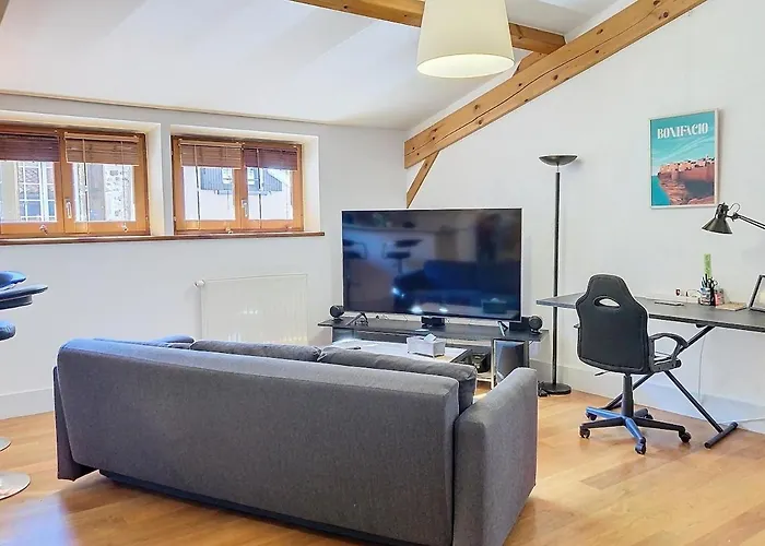 Appartement Le Cocoon Caché, Charming F2, Puy-en-velay Center