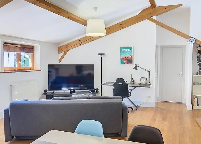 Le Cocoon Caché, Charming F2, Puy-en-velay Center Appartement