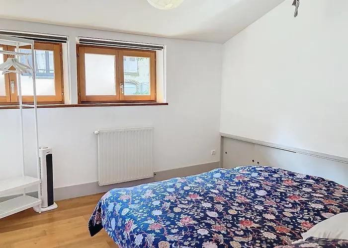 Appartement Le Cocoon Caché, Charming F2, Puy-en-velay Center *